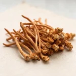 Extracto de hongo Cordyceps