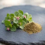 Polvo de hoja de punarnava (Boerhavia diffusa)