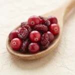 Extracto seco de fruto de arándano rojo (1 % de proantocianidinas)