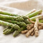 Espárrago (Asparagus officinalis), raíz