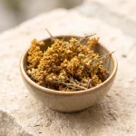 Vara de oro (Solidago virgaurea), parte aérea florida