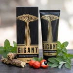 Composición e ingredientes de Gigant Gel
