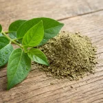 Extracto de Gymnema sylvestre