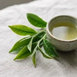 Extracto de hoja de té verde (Camellia sinensis)