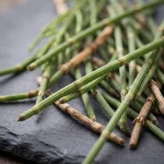 Extracto de cola de caballo 10:1 (Equisetum arvense), 7 % de sílice