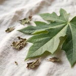 Extracto de hoja de papaya (Carica papaya)