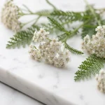 Extracto de milenrama (Achillea millefolium)