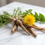 Extracto de raíz de diente de león 4:1 (Taraxacum officinale)