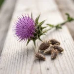 Extracto de semilla de cardo mariano (Silybum marianum), 80 % de silimarina