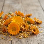 Extracto de flor de caléndula (Calendula officinalis)