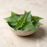 Extracto de ortiga (Urtica dioica)