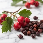 Extracto de fruto de espino blanco (Crataegus pinnatifida, 4:1)