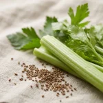 Extracto de hoja de apio (Apium graveolens, 4:1)