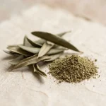 Extracto de hoja de olivo (Olea europaea, 20 % de oleuropeína)