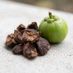 Extracto de fruto de Garcinia cambogia