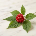 Extracto de hoja de Panax ginseng