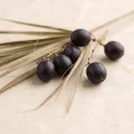 Extracto de palmera Serenoa (Serenoa repens)