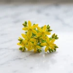 Extracto de hipérico (Hypericum perforatum)