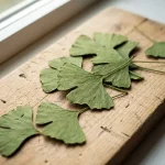 Extracto de hoja de Ginkgo biloba