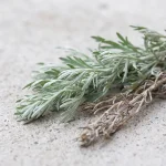 Extracto de ajenjo (Artemisia absinthium)