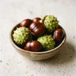 Extracto de castaño de Indias (Aesculus hippocastanum)